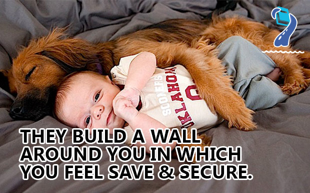 they-build-a-wall-around-you-in-which-you-feel-save -&- secure